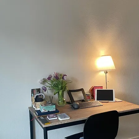Apartman Taylor Swift - 20 Mins From Concert Zürich