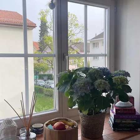 Taylor Swift - 20 Mins From Concert * Zürich